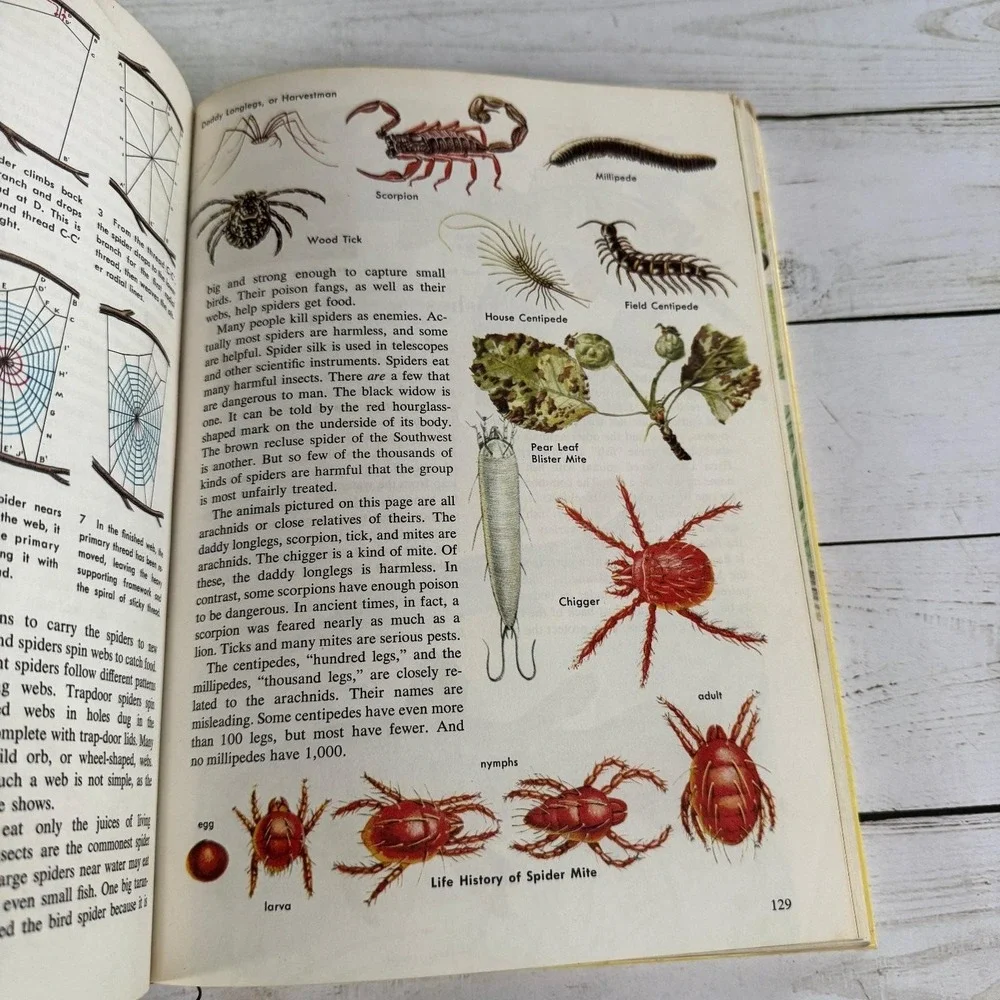 New Golden Treasury of Natural History Parker 1968 1st Print Golden Press